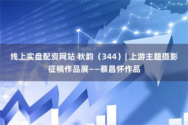 线上实盘配资网站 秋韵（344）| 上游主题摄影征稿作品展——蔡昌怀作品