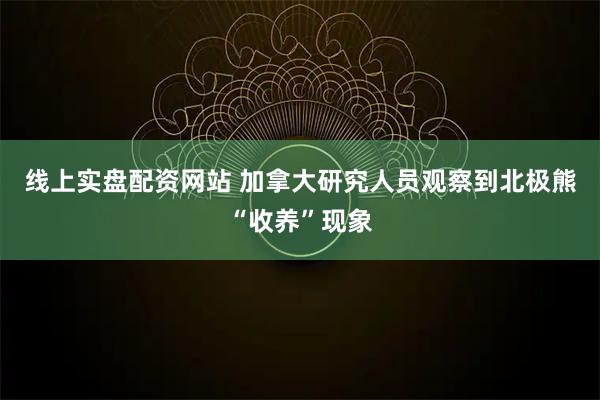 线上实盘配资网站 加拿大研究人员观察到北极熊“收养”现象